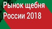 Продолжается регистрация на V международную конференцию «Рынок Щебня России 2018»