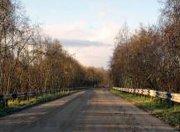 В Ленобласти осуществят ремонт автомобильной дороги Паша-Свирица-Загубье